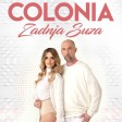 Colonia - 2018 - Zadnja suza