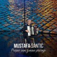 Mustafa Santic - 2023 - Propio sam zenino prstenje