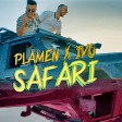 Plamen & Ivo - 2018 - Safari