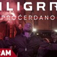 Miligram - 2019 - Procerdano