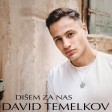 David Temelkov - 2019 - Zrno bola