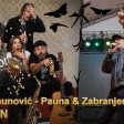 Zabranjeno pusenje feat. Zoran Paunovic Pauna - 2020 - Balkan