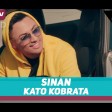 Sinan - 2019 - Kato kobrata