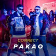 Connect - 2019 - Pakao