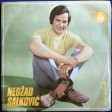 Nedzad Salkovic - 1973 - Moj sokole