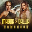 Magda x Dallia - 2023 - Hameleon