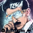 Gazda Paja - 2018 - Tesla