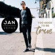 Jan Vehar - 2017 - To Good To Be True