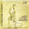 Mustafa Redzic Hodzin - 1972 - Lazno si me ljubila